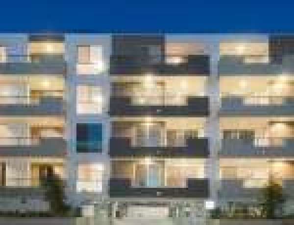 The New Construction